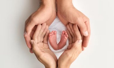 Argentina enfrenta una caída drástica de la natalidad: un 46% menos en 9 años