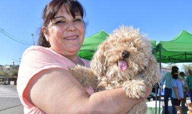 El quirófano móvil acercará esterilizaciones a familias de Rivadavia