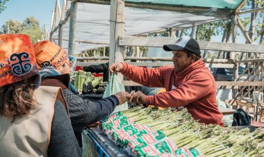 Por el viento Zonda, la Fiesta del Espárrago y el Alcaucil se reprograma para el 4 de octubre