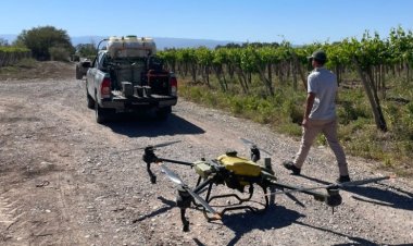 Comienza la entrega de insecticida para el control de Lobesia botrana