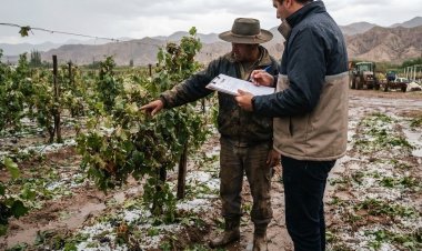 Inclemencias climáticas: qué hacer ante daños en la producción provocados por lluvias y cómo realizar la denuncia