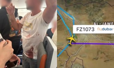 El Gobierno de Israel afirmó que "un terrorista" quiso estrellar el avión a Tel Aviv
