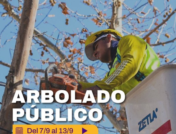 La Ciudad continúa con tareas de mantenimiento del arbolado público