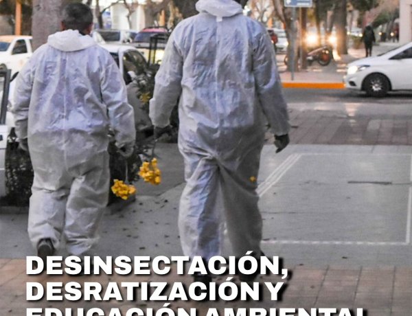 La Ciudad continúa con el cronograma de desinsectación y desratización
