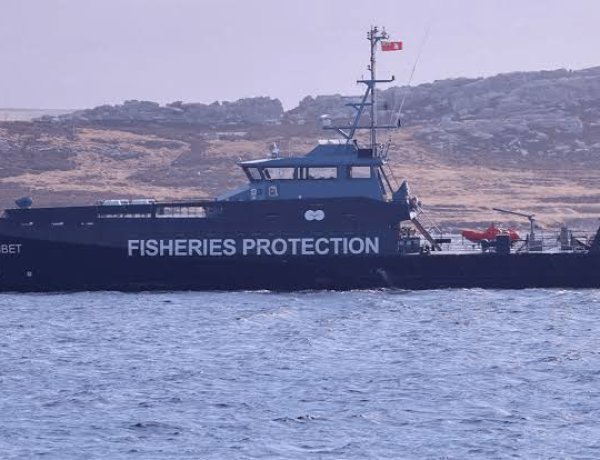Denunciaron por contrabando a pesqueras con licencias británicas que operan en las Islas Malvinas