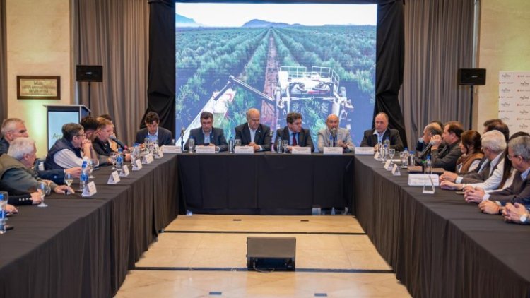 San Juan fue sede de una nueva Mesa Olivícola Nacional en el marco de ArgOliva 2026