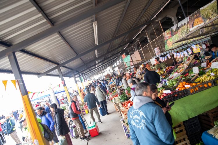 Celebraron  los 70 años de la Feria y Mercado de Abasto Municipal con emoción, arte y el rescate de su historia