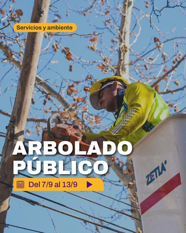 La Ciudad continúa con tareas de mantenimiento del arbolado público