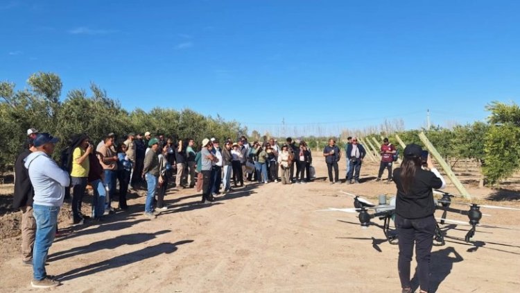 100 empresas de distintas provincias se sumaron a la Jornada a Campo de ArgOliva