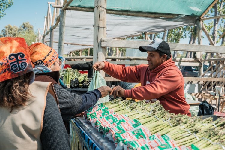 El sabor de Médano de Oro vuelve a ser protagonista: llega la Fiesta del Espárrago y el Alcaucil 2026