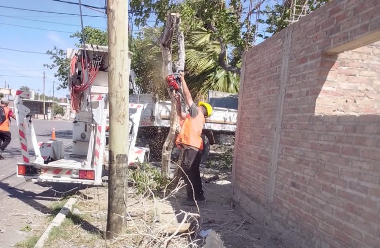 Chimbas desplegó personal de Servicios ante las consecuencias del viento Zonda
