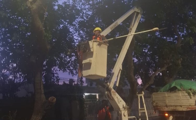 Chimbas desplegó personal de Servicios ante las consecuencias del viento Zonda