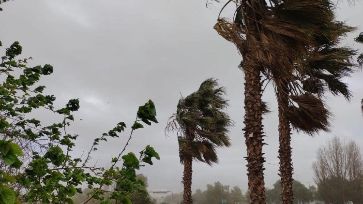 Viento sur intenso y descenso de la temperatura en San Juan
