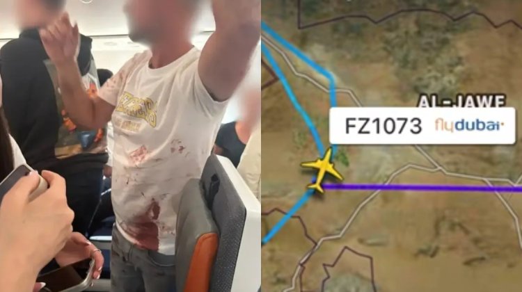 El Gobierno de Israel afirmó que "un terrorista" quiso estrellar el avión a Tel Aviv