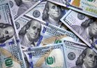 A cuánto llegará el dólar en diciembre según las consultoras del Banco Central y a cuánto estará en 2027