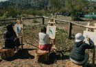 El Festival de las Aves propone una jornada de actividades en el Parque Sarmiento