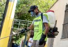 La Ciudad continúa con el cronograma de desinsectación y desratización