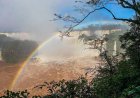 Reabre el Parque Nacional Iguazú tras la baja del río