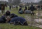 Un rayo mató a cuatro yeguas de polo en el Jockey Club de San Isidro