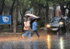 Alertas naranja y amarilla por tormentas, lluvias intensas, vientos y Zonda en 20 provincias