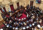 El Senado aprobó en general la reforma de la Ley de Salud Mental, que habilita internaciones involuntarias