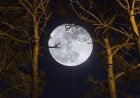 Calendario lunar de noviembre 2026: cuándo es luna llena
