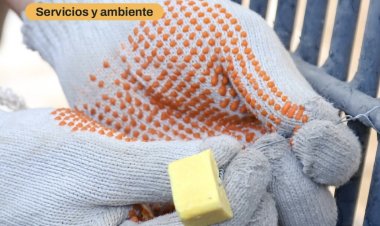 La Ciudad continúa con el cronograma de desinsectación y desratización