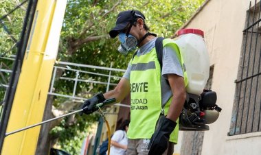 La Ciudad continúa con el cronograma de desinsectación y desratización
