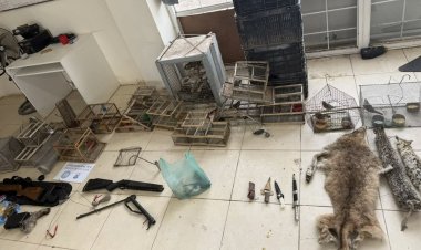 Sarmiento: allanaron dos domicilios por caza furtiva y secuestraron pieles de animales silvestres