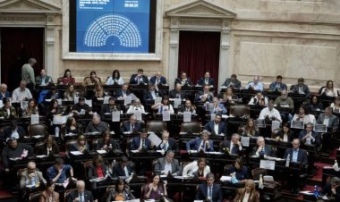 Ley de Discapacidad:  se aprobó el proyecto con una mayoría abrumadora