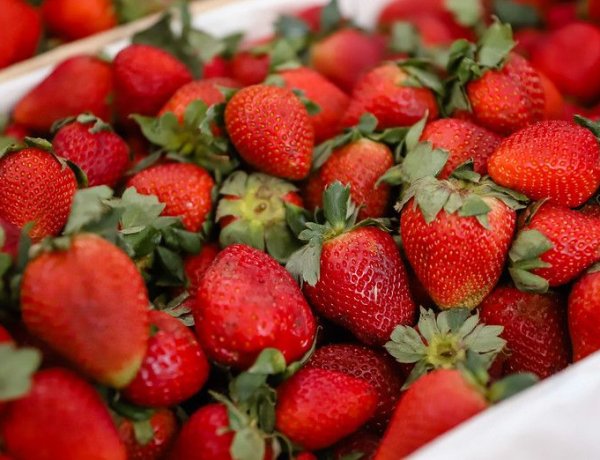 Feria y Mercado de Abasto: buenos precios y la mejor calidad