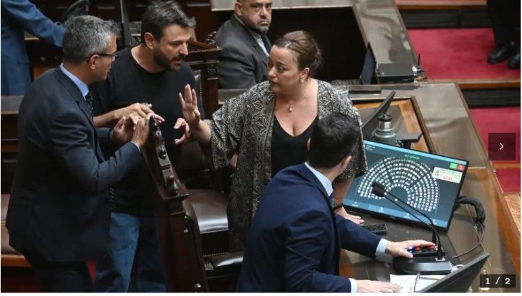 Una diputada propone “suspender” por un mes el sueldo de legisladores que insulten en el recinto
