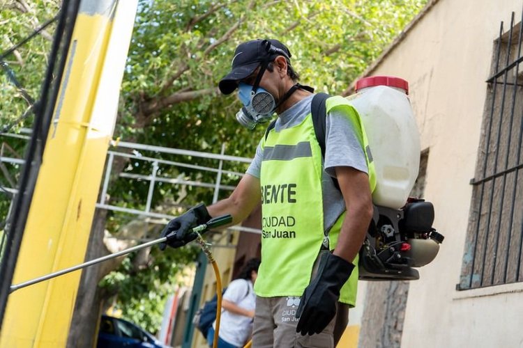 La Ciudad continúa con el cronograma de desinsectación y desratización