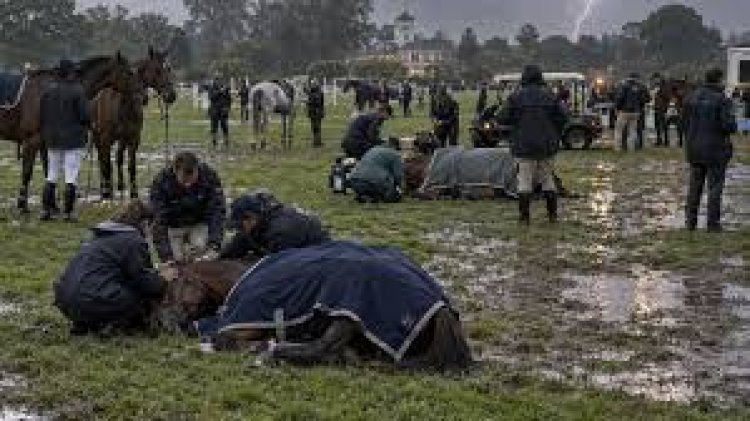 Un rayo mató a cuatro yeguas de polo en el Jockey Club de San Isidro