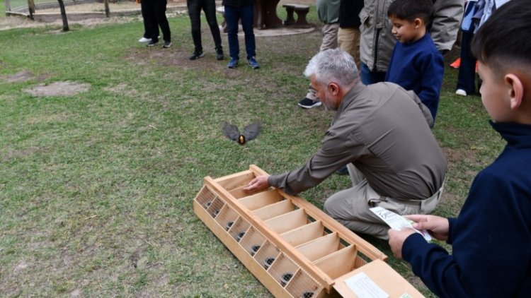 San Juan liberó aves autóctonas recuperadas del tráfico ilegal