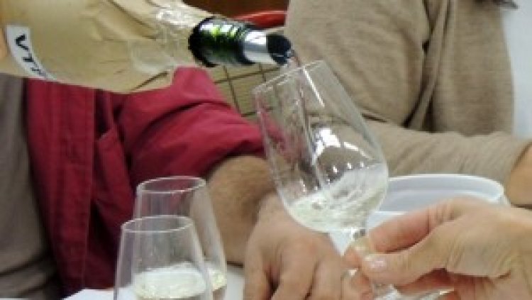 Cinco vinos de cuatro valles ganaron el Gran Oro en el Concurso Nacional Cata San Juan