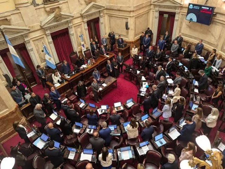 El Senado aprobó en general la reforma de la Ley de Salud Mental, que habilita internaciones involuntarias